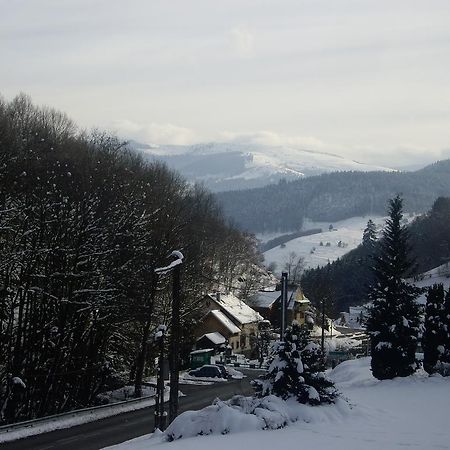 Appartement Vue Sur La Montagne Soultzeren Exteriör bild
