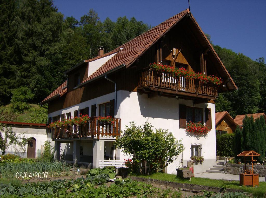 Appartement Vue Sur La Montagne Soultzeren Exteriör bild